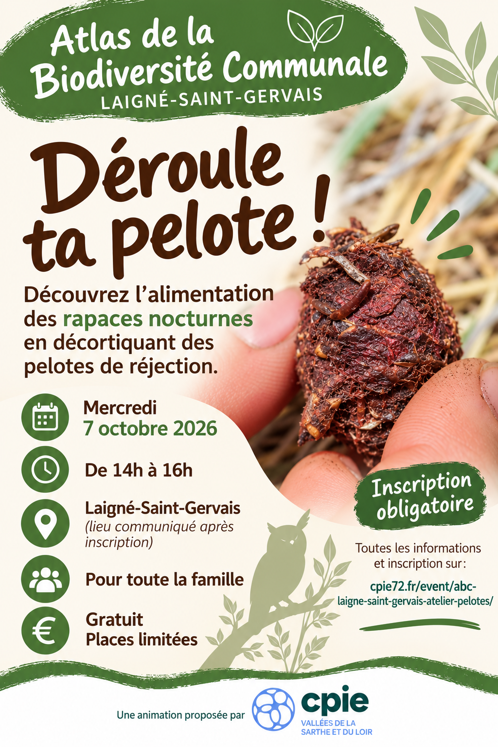 🦉 ATELIER « DÉROULE TA PELOTE ! »Atlas de la biodiversité